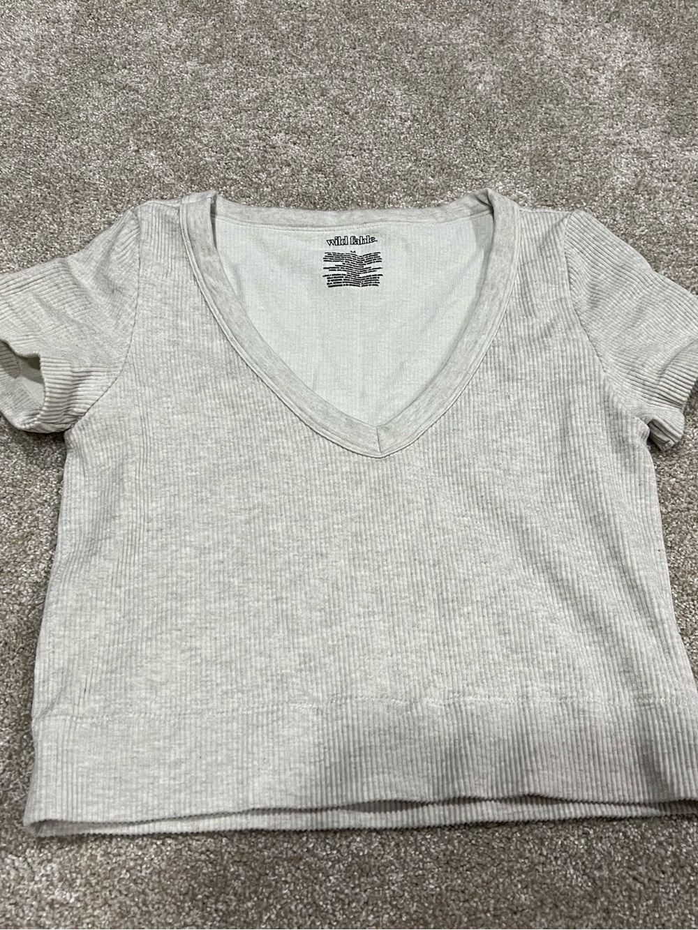 wild fable Light Gray Ribbed V-Neck Short Sleeve Crop Top